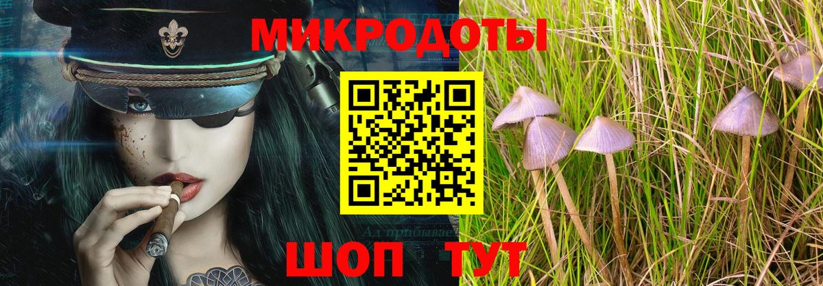 Псилоцибиновые грибы MAGIC MUSHROOMS  Вход с VPN  где найти   Туймазы 